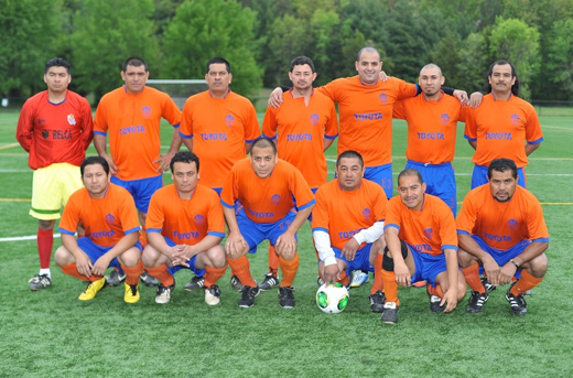 Liga WISL
