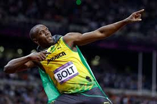Bolt