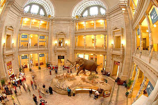 Smithsonian Museum