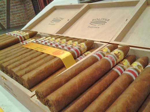 Habanos cubanos