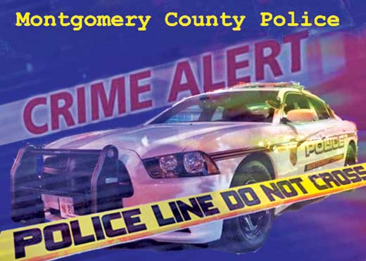 Policial crime alert