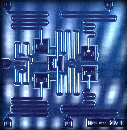 IBM