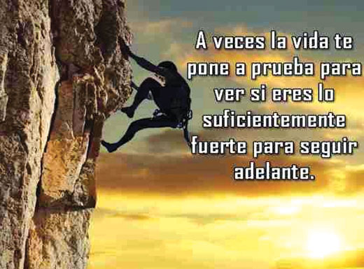 Frases