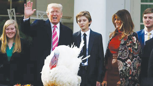 Trump pavo